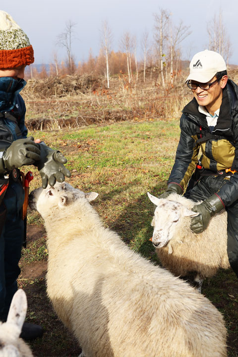 モンガク谷ワイナリーの羊（北海道余市町産）