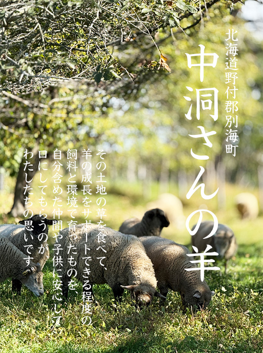 ʊCYuTEX_Ev×uTtH[NvzQbgEX