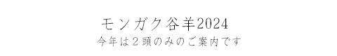kCYrbCԒYTtH[NriE}gj