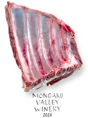 KNJCi[̗rEoXyAu