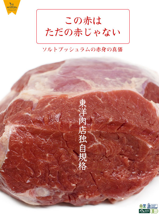 \gubV̐Ԑg̐^