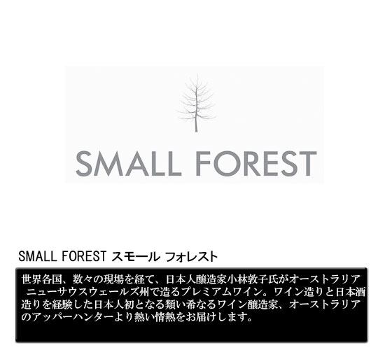 SMALL FOREST X[ tHXg