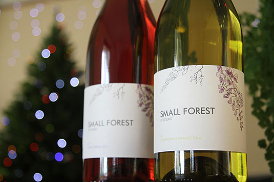 SMALL FOREST X[ tHXg