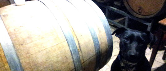 ~EAoEgEB[hbMill About Vineyard