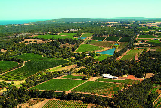 Aerial Vineyard Image