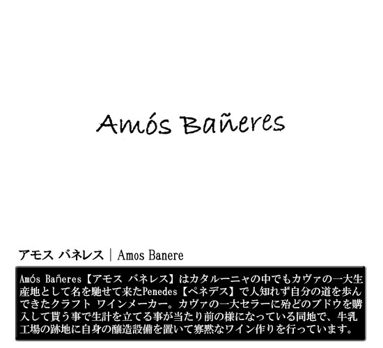 アモス バネレス｜Amos Baneres