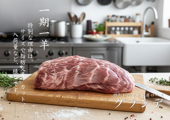 �y�}�g���z�����[�X�E�O�����f�i�����r�j