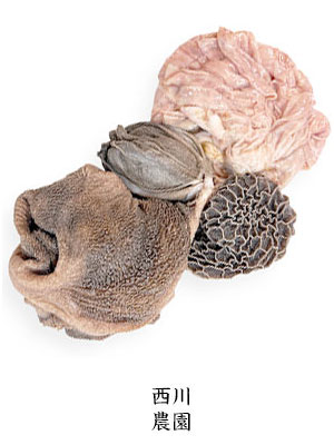 �y����_���Y�����z�ݑ܃Z�b�g�i���j