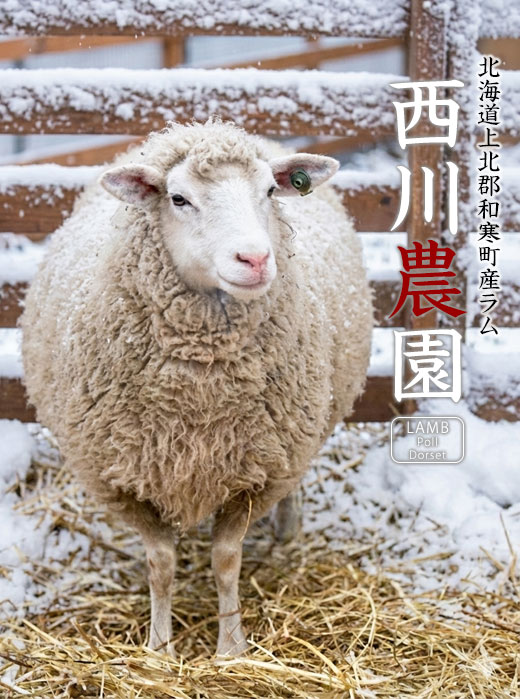 �k�C����k�S�a�����u����_���v�̗r