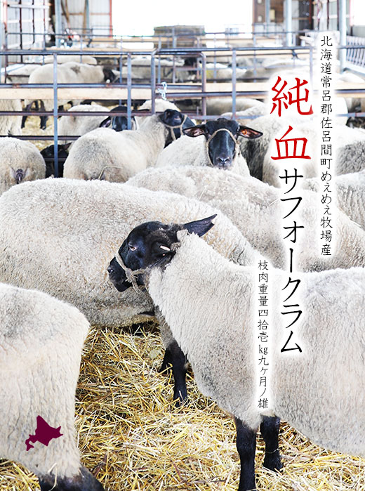 kCYu߂߂qv̏TtH[NiXj