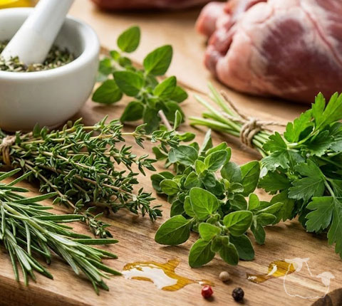 �n�[�u�F�������ŃL�����o��