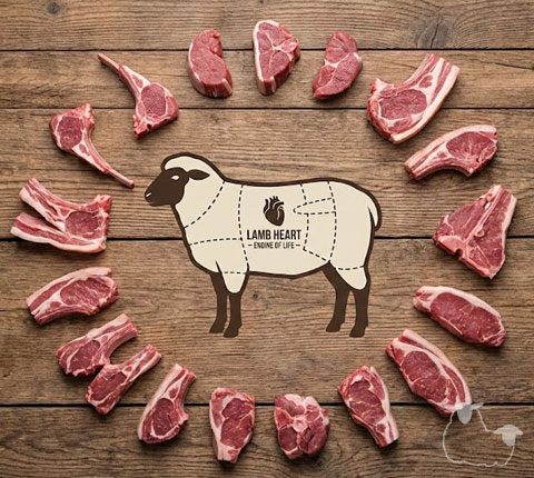 �m�[�Y�E�g�D�E�e�C���iNose to Tail�j