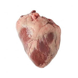 �y�����z�^���X���C�X