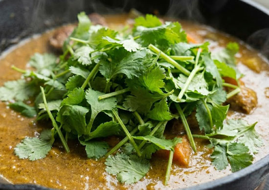 �}�j�A�����z �ǂ��p�N�`�[�i�����j