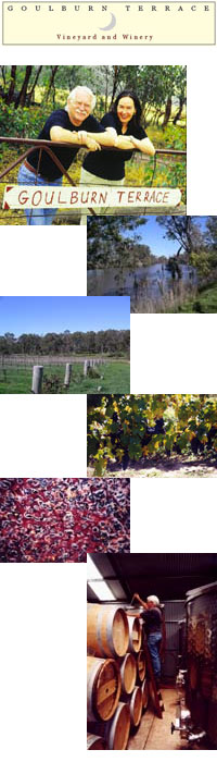 �S�[���o���e���X