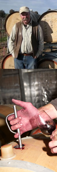 �M�u�\���@�o���b�T���F�[���@���C���Y