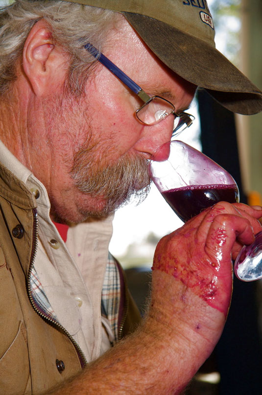 �E�B���Y �N�i���� �G�X�e�C�g