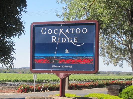 �N�J�g�D�[���b�W�@���C���Y