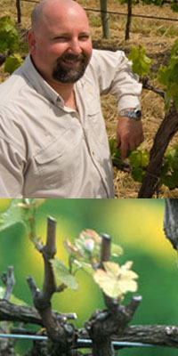 �t�H�b�N�X �N���[�N ���C���Y