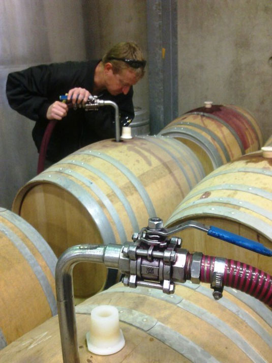 �W�F�t�E������ ���C���Y