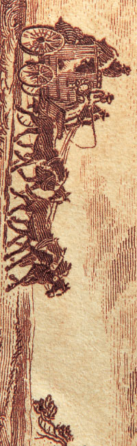 �w�����[�Y�h���C���@���B�l�����Y