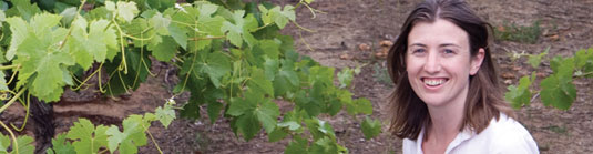 �w�����[�Y�h���C���@���B�l�����Y