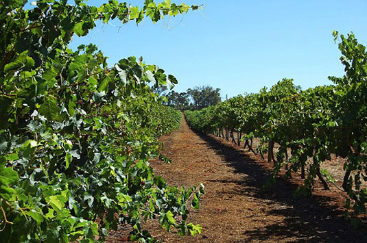 �A���N�[�~ �v���v���C�A�e�B���[ ���~�e�b�h