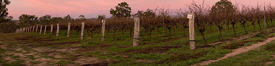 �A���N�[�~ �v���v���C�A�e�B���[ ���~�e�b�h