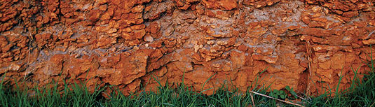 �v�����^�W�F�l�b�g ���C���Y