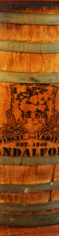 �T���_���t�H�[�h ���C���Y