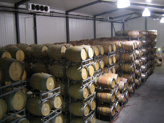 �T���_���t�H�[�h ���C���Y