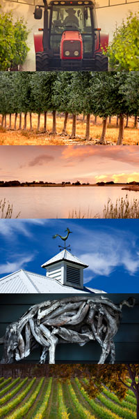 �E���� �t�@�[���Y