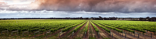 �E���� �t�@�[���Y