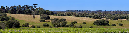 �E���� �t�@�[���Y