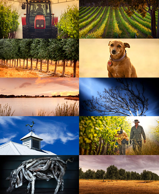 �E���� �t�@�[���Y