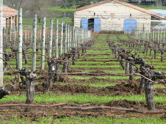 �s�J�[�f�B