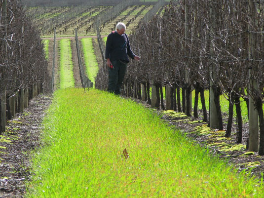 �s�J�[�f�B