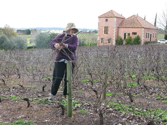 �s�J�[�f�B