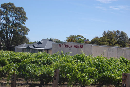 �G���_�g�� 