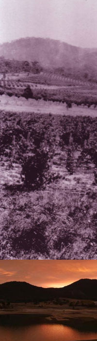 �}�E���g�E�����M�E�M����