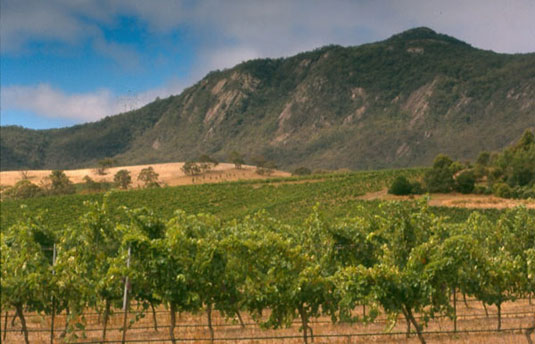 �}�E���g�E�����M�E�M����