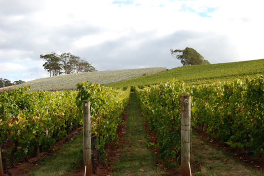 �h���[���^�C���E�p�X