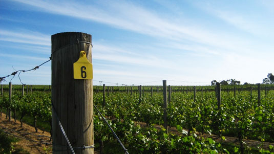 �I�[�o�[�E�U�E�V�����_�[