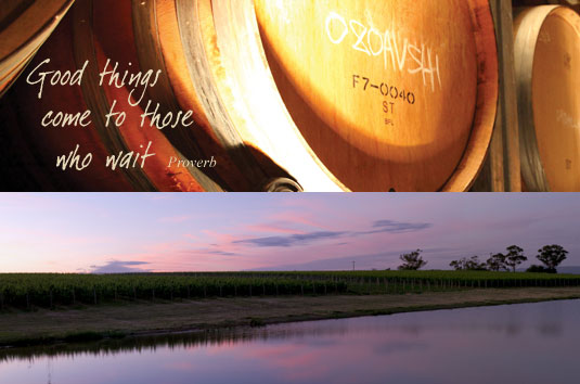 �I�[�o�[�E�U�E�V�����_�[