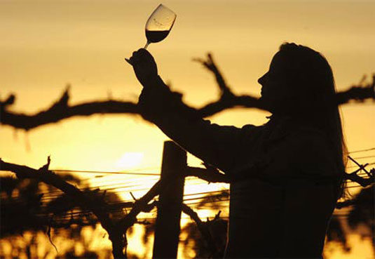 �|���_���E�B