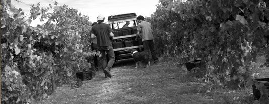 �t�����N�����h�E�G�X�e�[�g