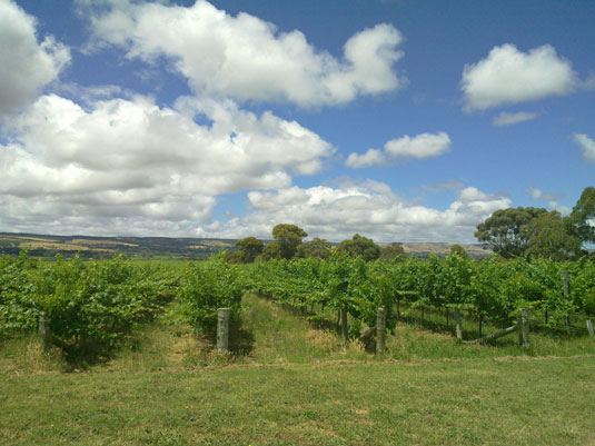 �G�X�E�V�[�E�p�l��