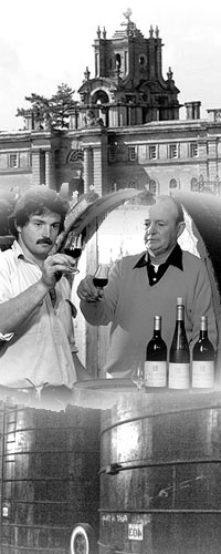 �E�b�h�X�g�b�N