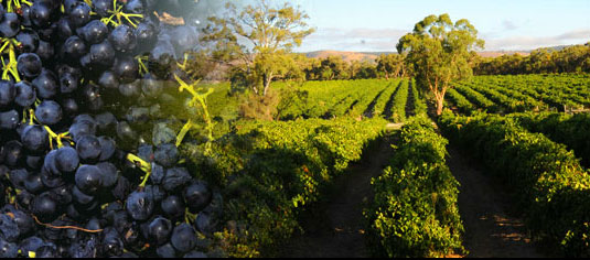 �E�b�h�X�g�b�N