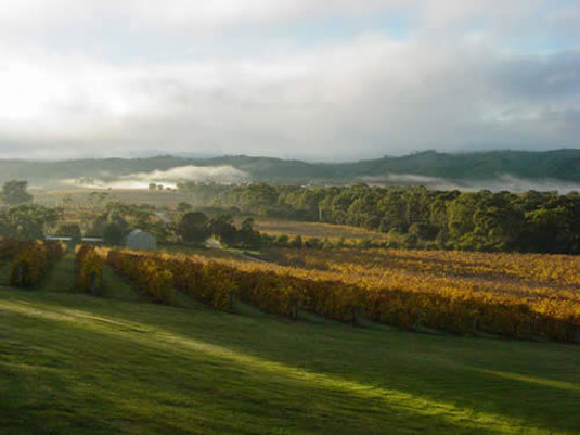 �h�b�O�E���b�W